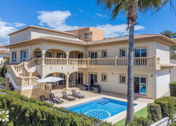 Socrates By Abahana Willa